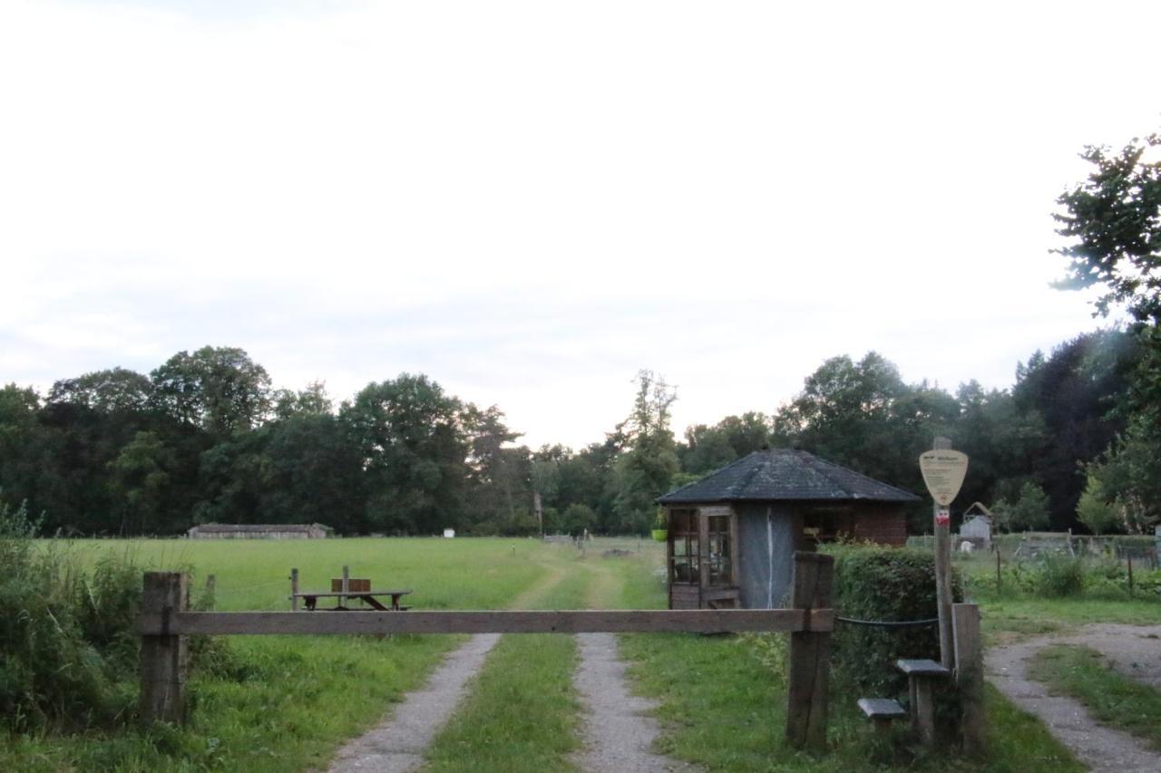 Hoeve Op Vollenhof *