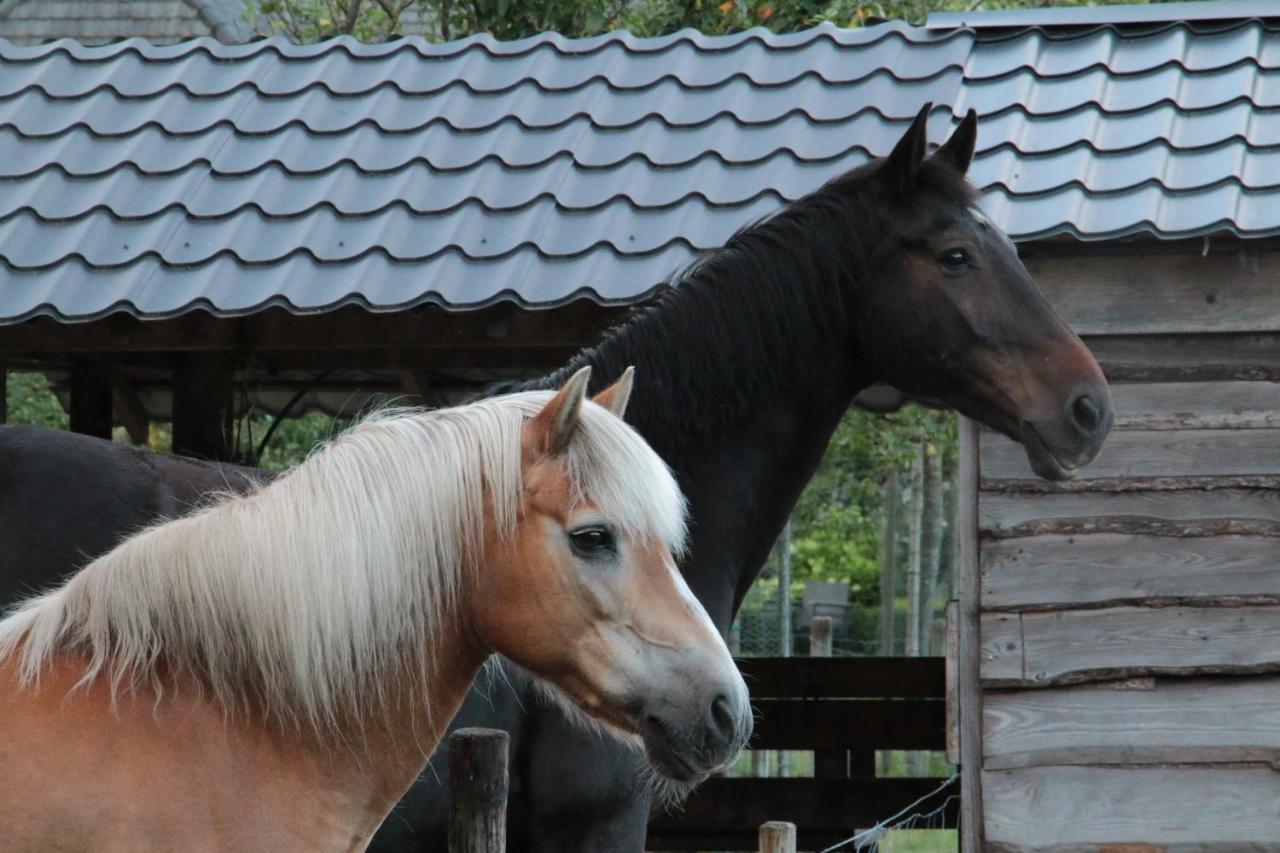 Hoeve Op Vollenhof *